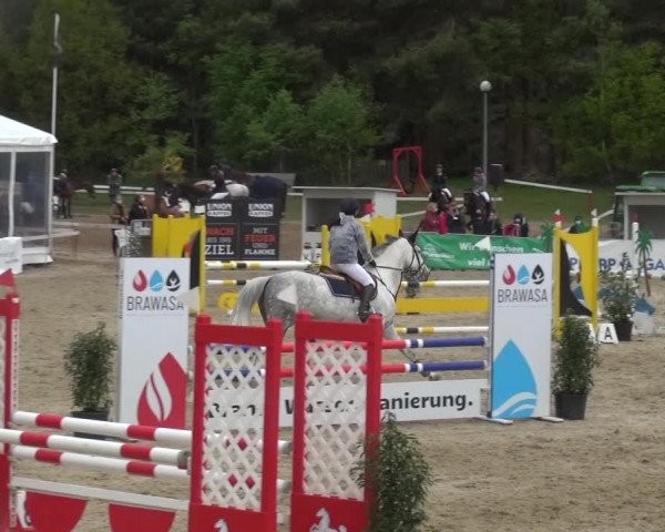 Reitturnier Rastede-Nethen 2021