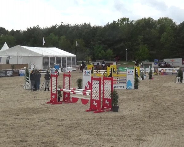 Reitturnier Rastede-Nethen 2021