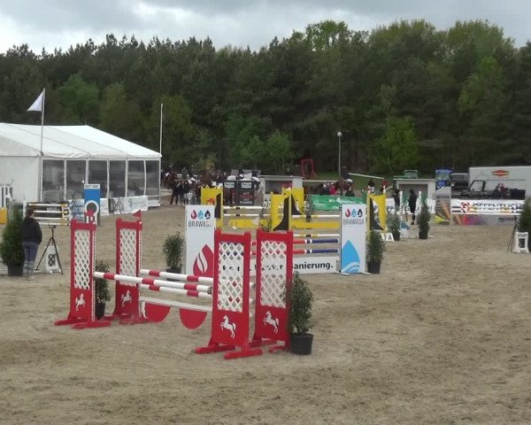 Reitturnier Rastede-Nethen 2021