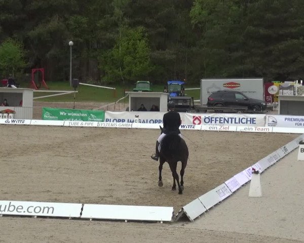 Reitturnier Rastede-Nethen 2021