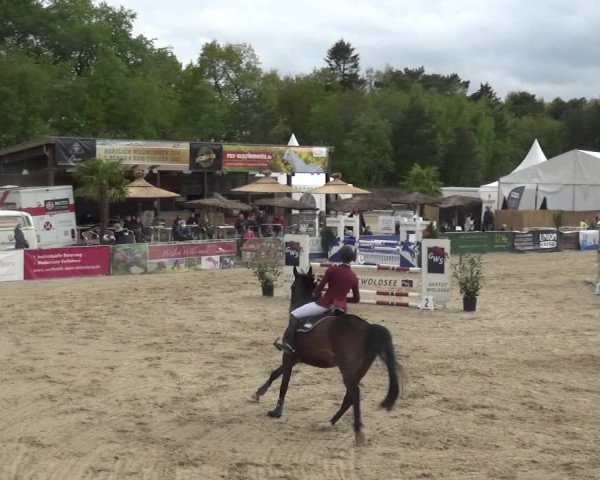 Reitturnier Rastede-Nethen 2021