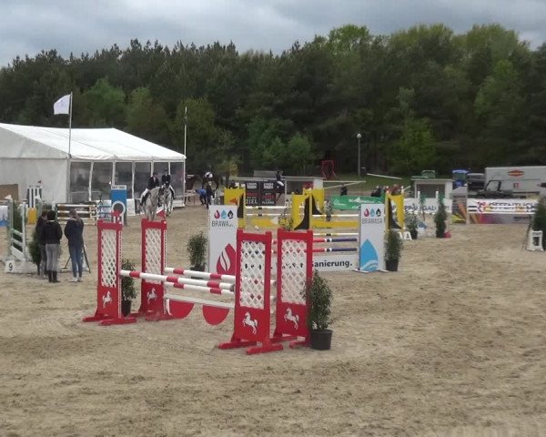 Reitturnier Rastede-Nethen 2021