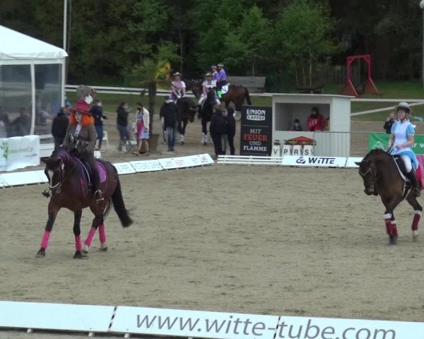 Reitturnier Rastede-Nethen 2021