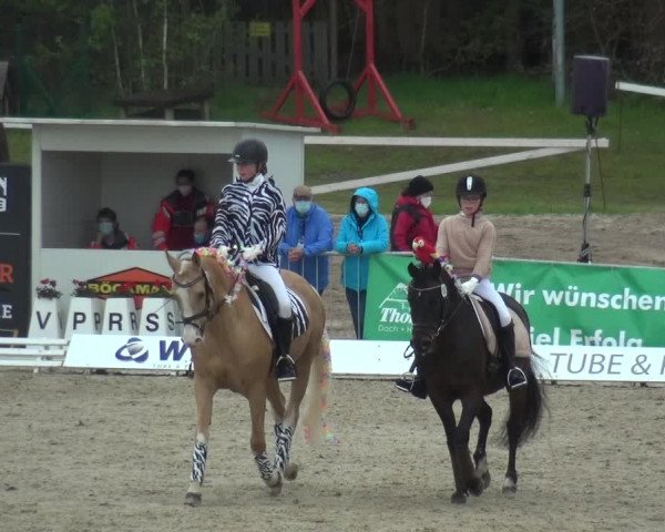 Reitturnier Rastede-Nethen 2021