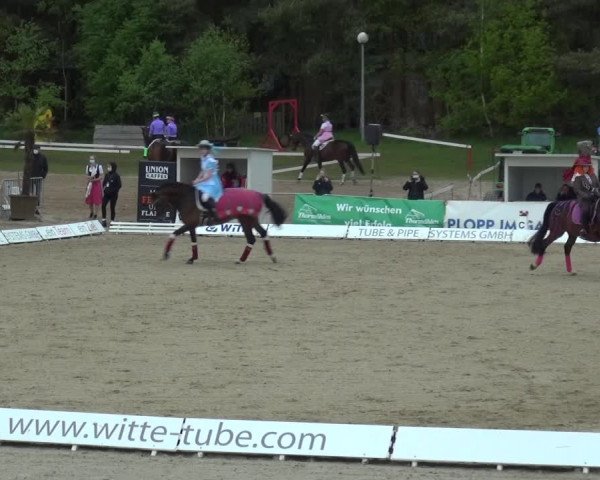 Reitturnier Rastede-Nethen 2021