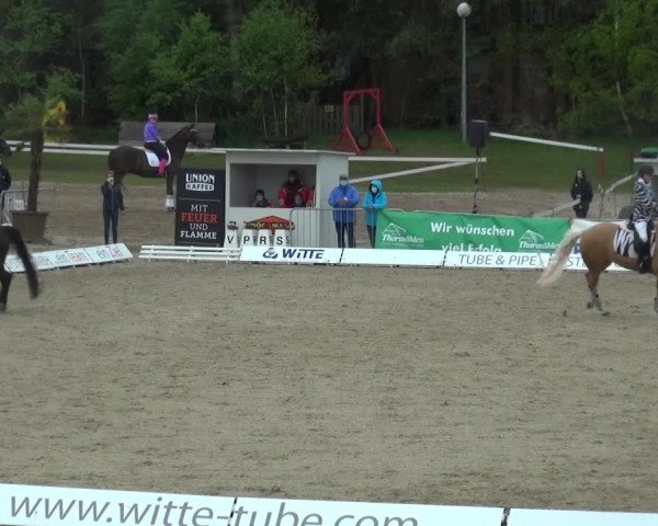 Reitturnier Rastede-Nethen 2021
