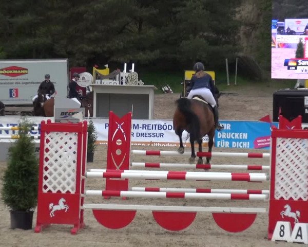 Reitturnier Rastede-Nethen 2021