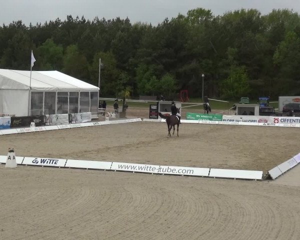 Reitturnier Rastede-Nethen 2021