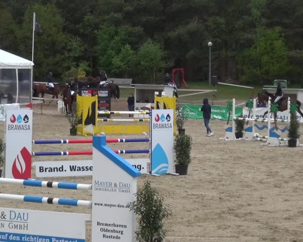 Reitturnier Rastede-Nethen 2021