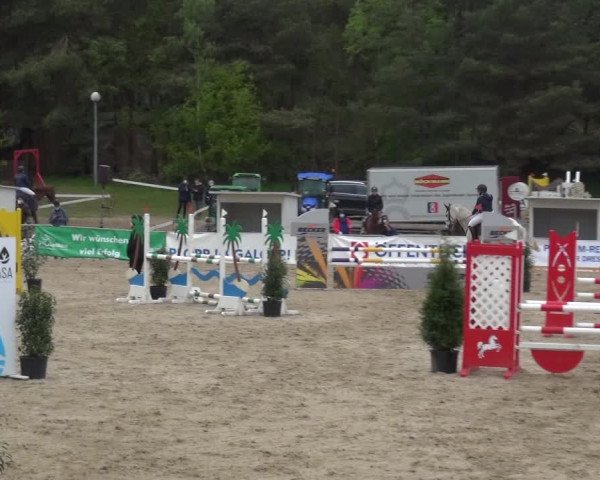Reitturnier Rastede-Nethen 2021