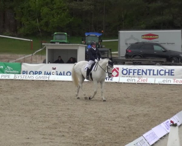 Reitturnier Rastede-Nethen 2021