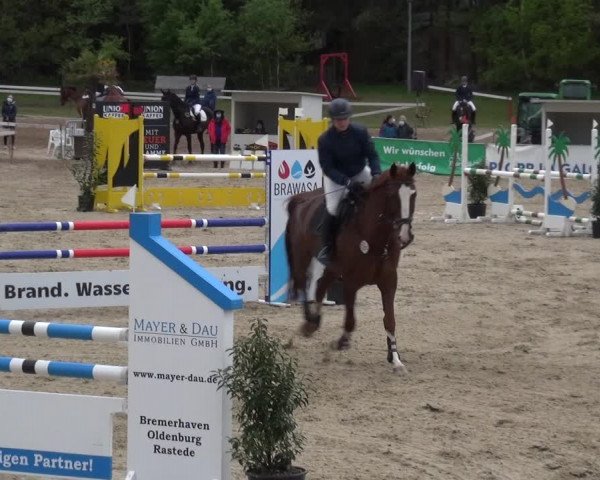 Reitturnier Rastede-Nethen 2021