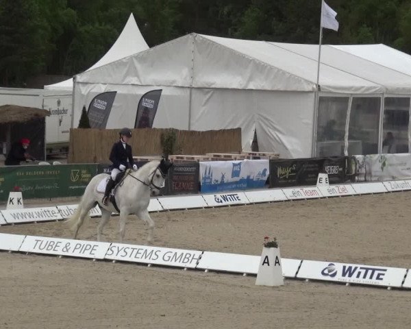 Reitturnier Rastede-Nethen 2021