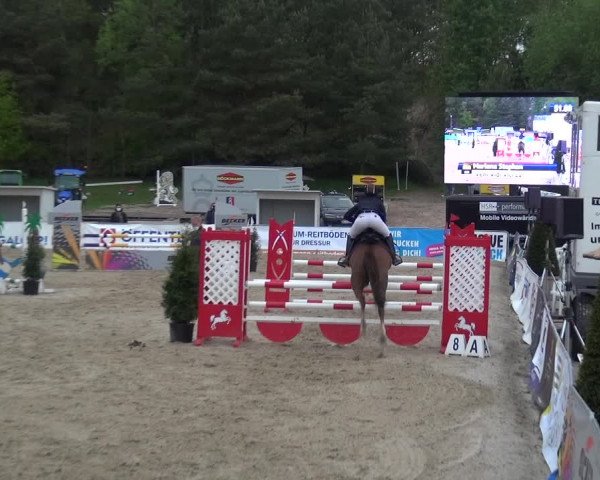 Reitturnier Rastede-Nethen 2021
