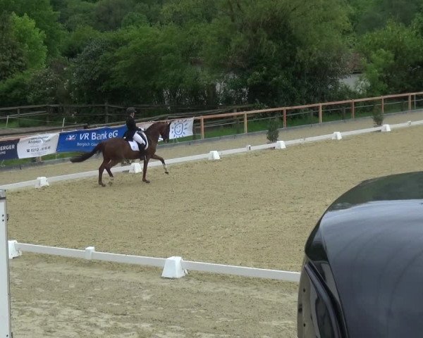 Reitturnier Leichlingen 2021