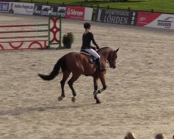 Reitturnier Westergellersen 2021
