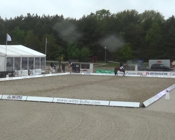 Reitturnier Rastede-Nethen 2021