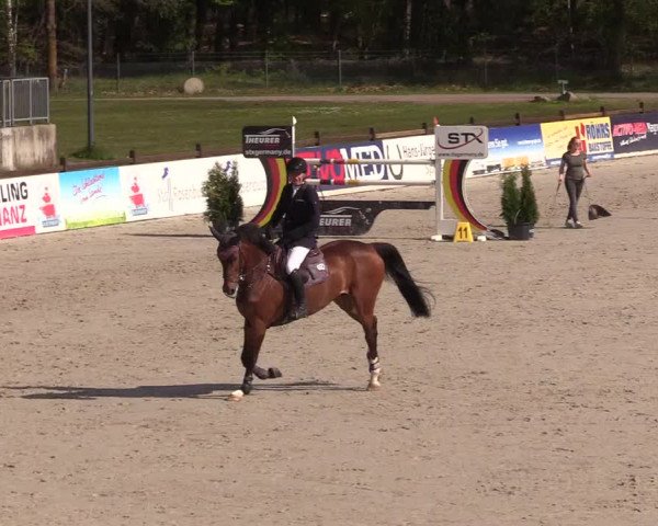 Reitturnier Westergellersen 2021