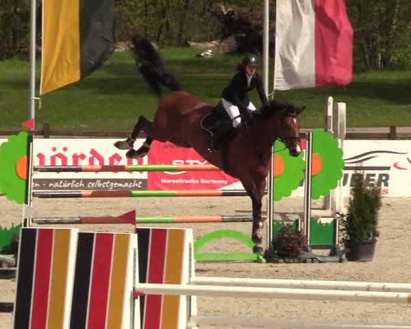 Reitturnier Westergellersen 2021