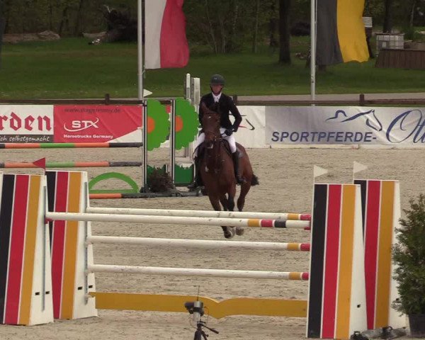 Reitturnier Westergellersen 2021