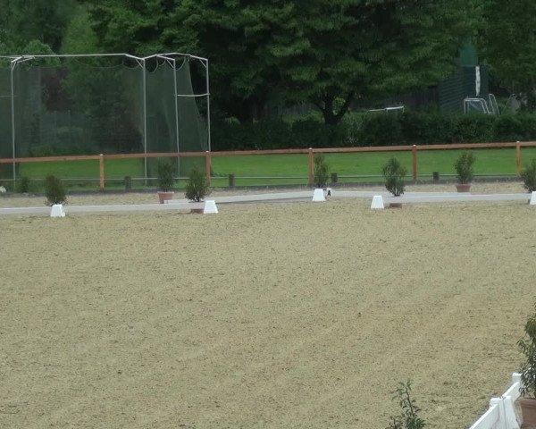 Reitturnier Leichlingen 2021