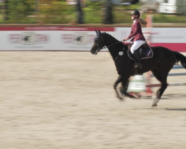 Reitturnier Westergellersen 2021