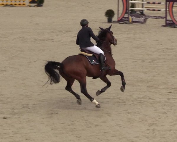 Reitturnier Westergellersen 2021