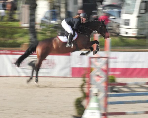 Reitturnier Westergellersen 2021