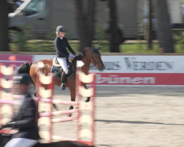 Reitturnier Westergellersen 2021