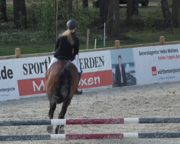 Reitturnier Westergellersen 2021