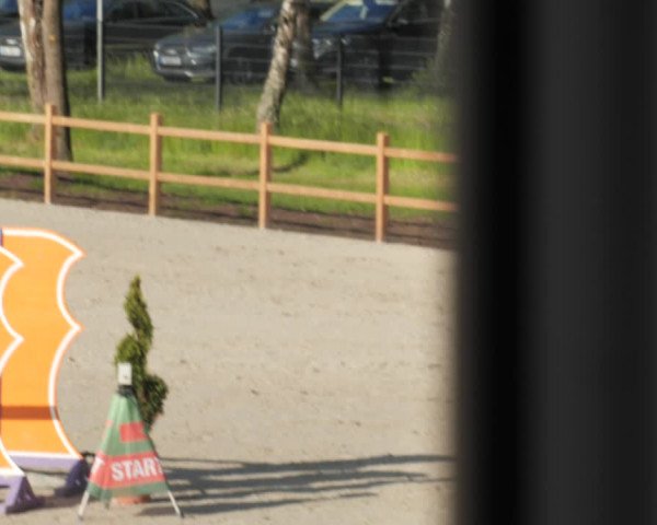 Reitturnier Westergellersen 2021