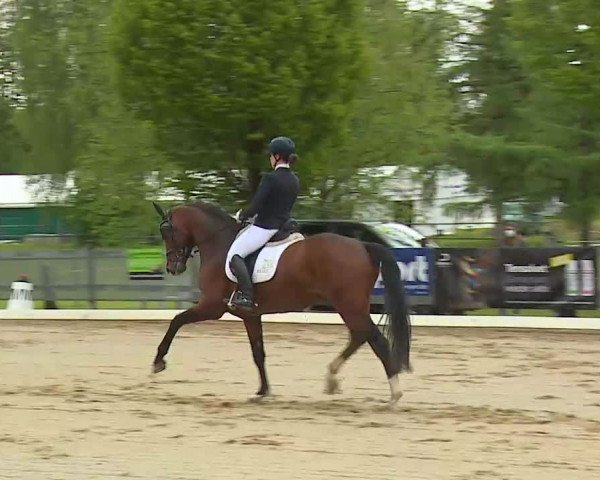 Reitturnier Aulendorf 2021