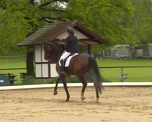 Reitturnier Aulendorf 2021