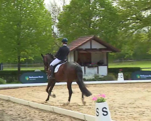 Reitturnier Aulendorf 2021