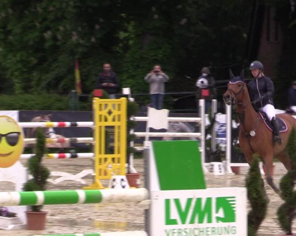 Reitturnier Münster-Handorf 2021
