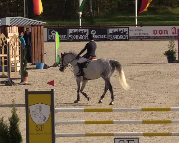 Reitturnier Westergellersen 2021