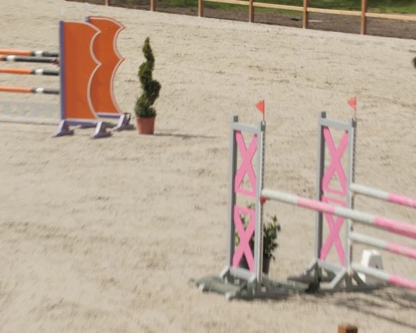 Reitturnier Westergellersen 2021