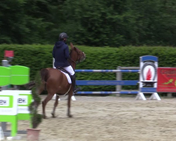 Reitturnier Münster-Handorf 2021