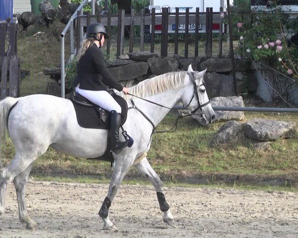 Reitturnier Neunkirchen-City 2021