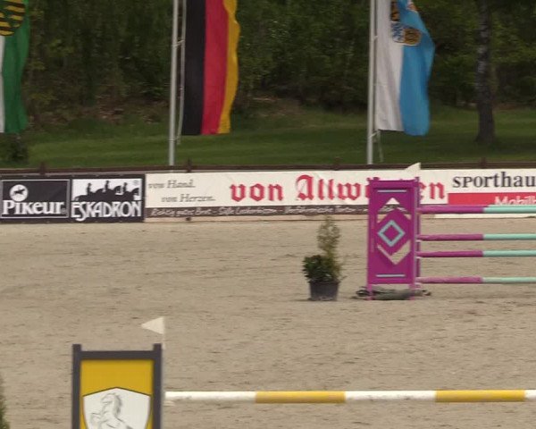 Reitturnier Westergellersen 2021