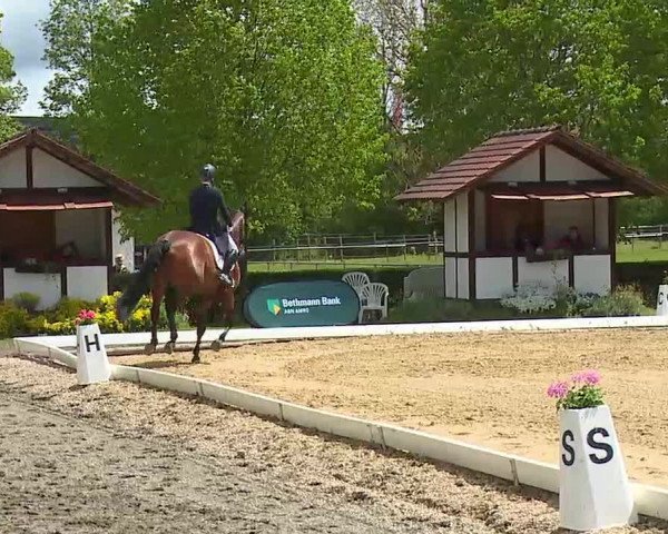 Reitturnier Aulendorf 2021