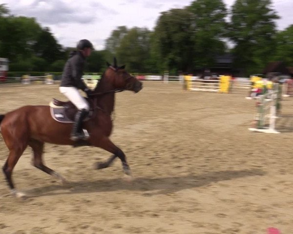 Reitturnier Münster-Handorf 2021