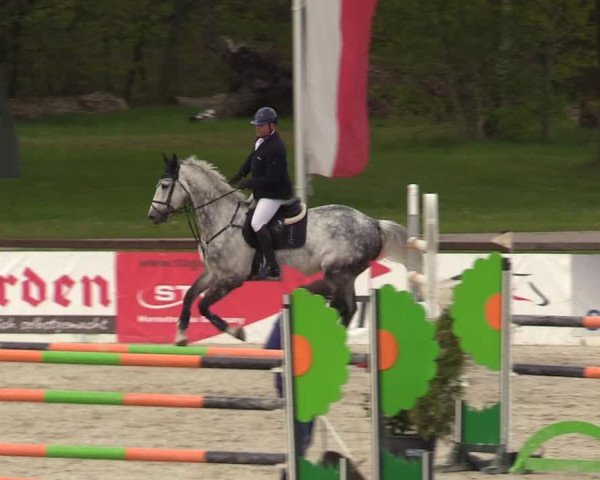 Reitturnier Westergellersen 2021