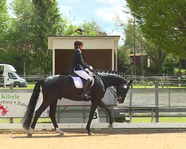 Reitturnier Aulendorf 2021