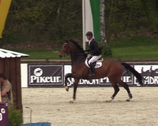 Reitturnier Westergellersen 2021