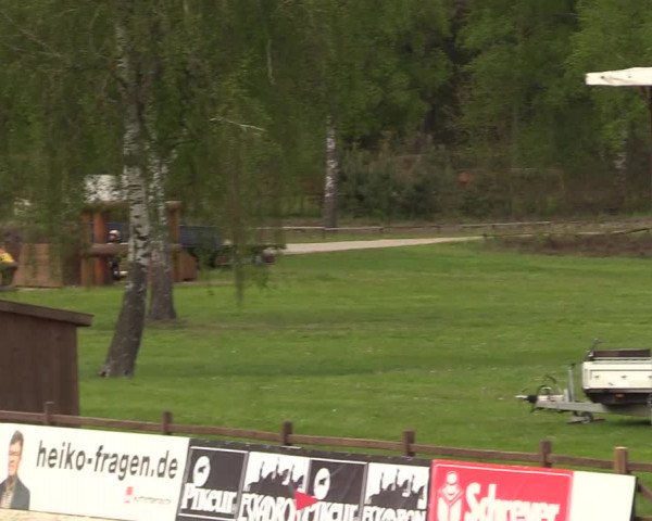 Reitturnier Westergellersen 2021