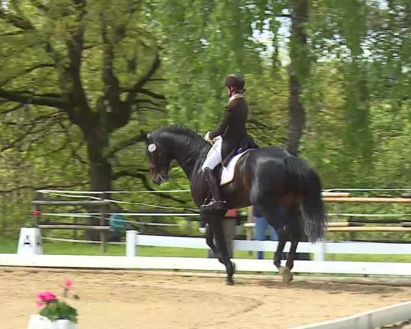 Reitturnier Aulendorf 2021