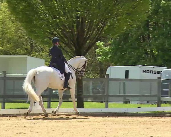 Reitturnier Aulendorf 2021