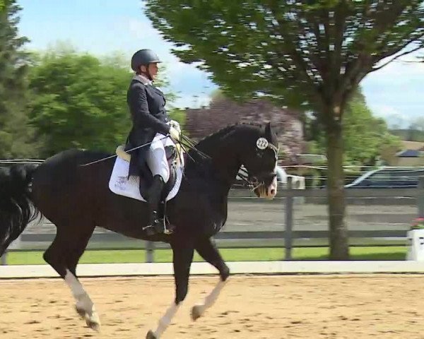 Reitturnier Aulendorf 2021