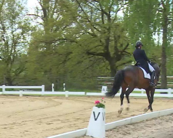 Reitturnier Aulendorf 2021